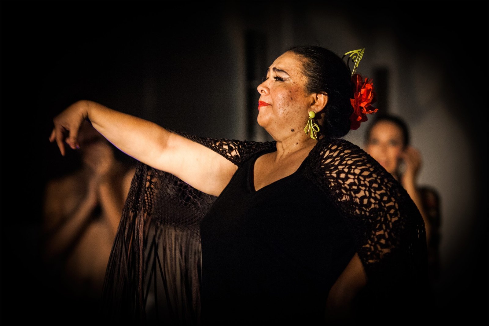 Flamenco photograph by Nicole Moore