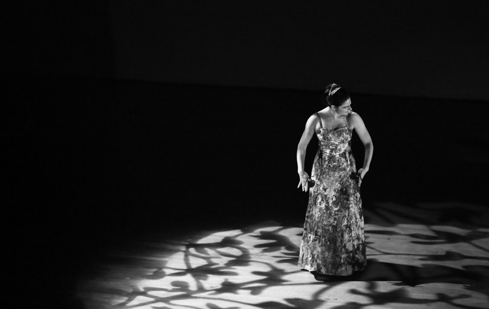 Flamenco photograph by Nicole Moore