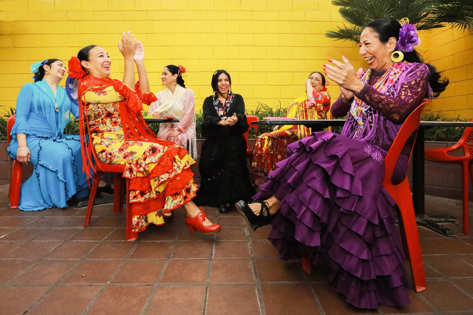 Flamenco photograph by Nicole Moore