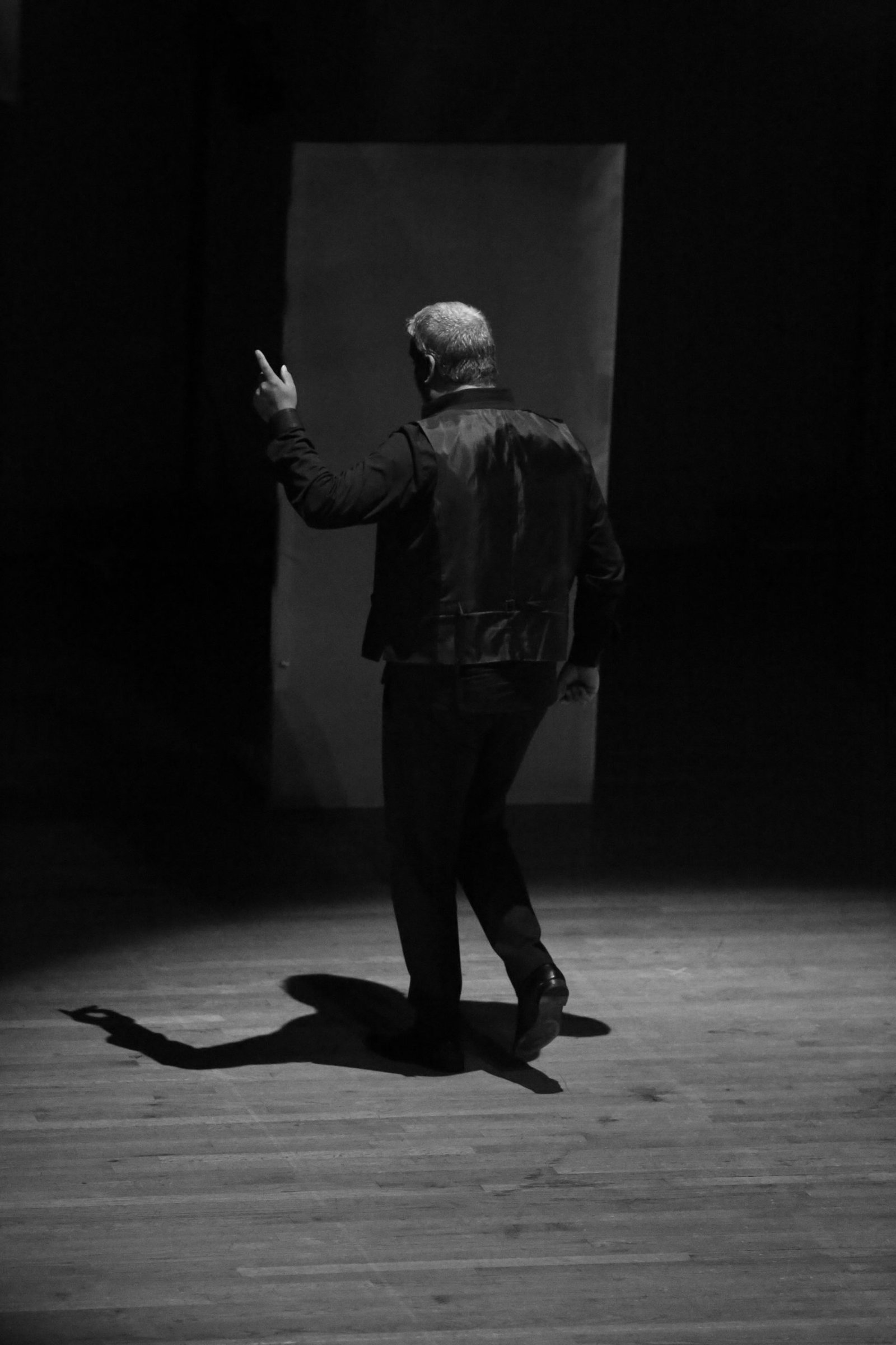 Flamenco photograph by Nicole Moore