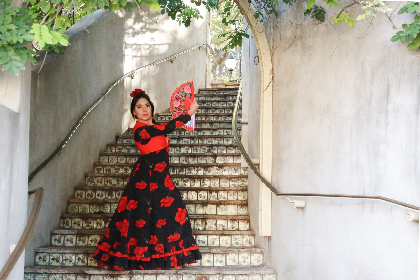 Flamenco photograph by Nicole Moore
