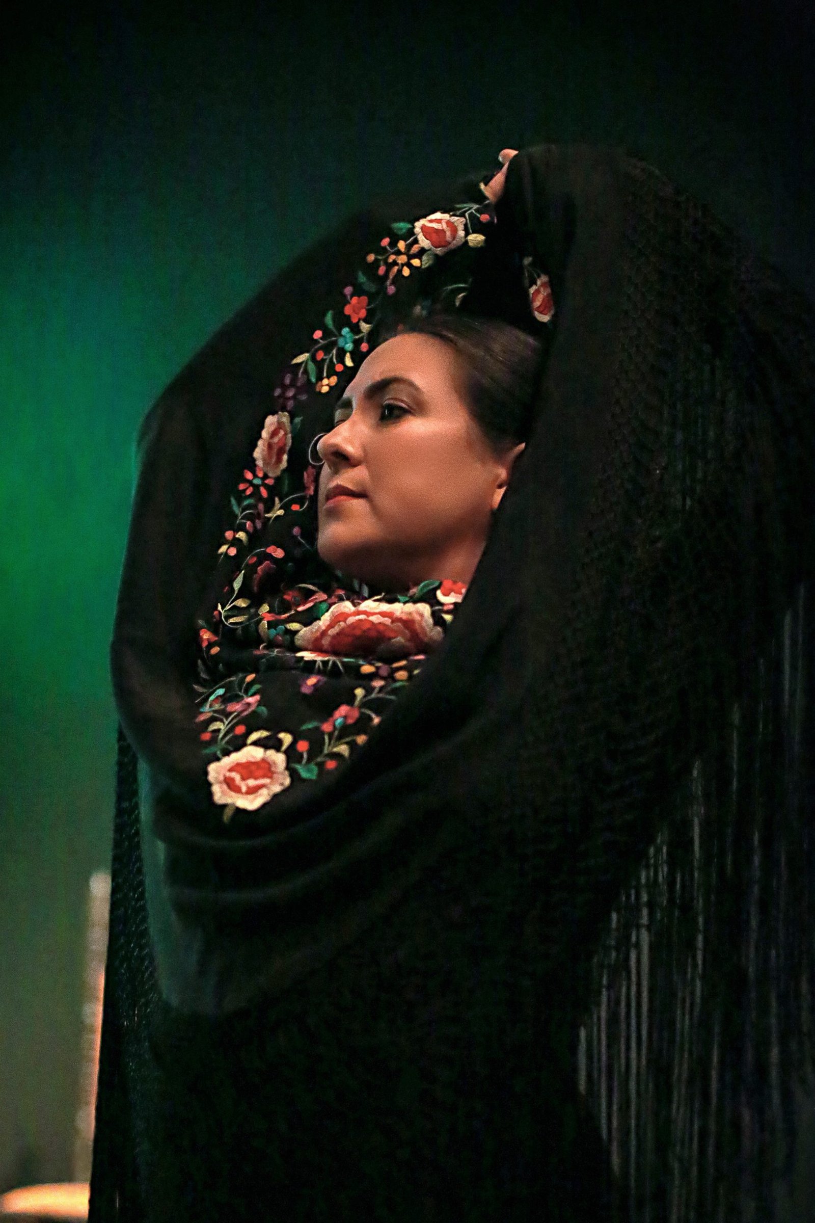 Flamenco photograph by Nicole Moore