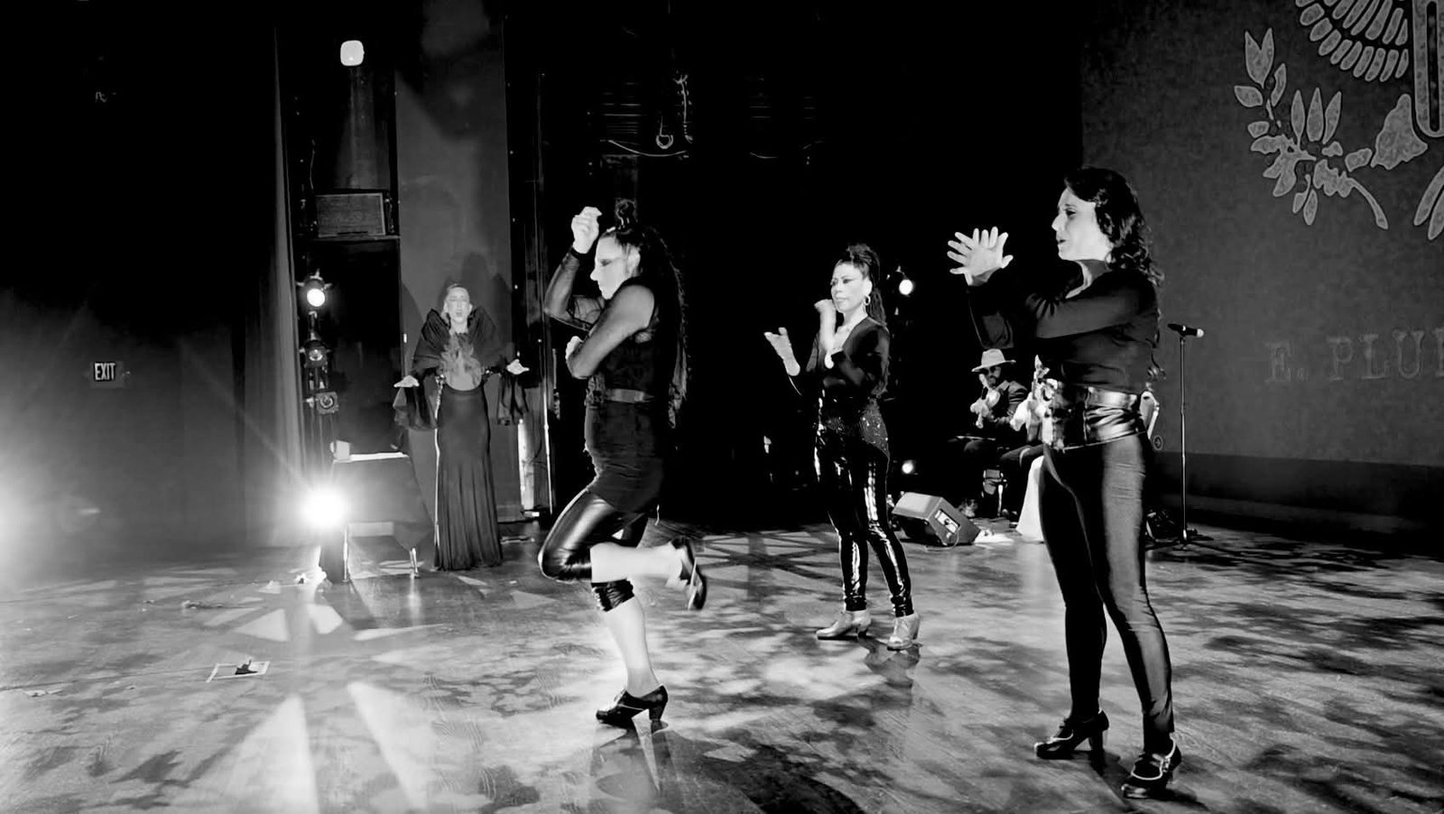Sonidos de Libertad performance photograph
