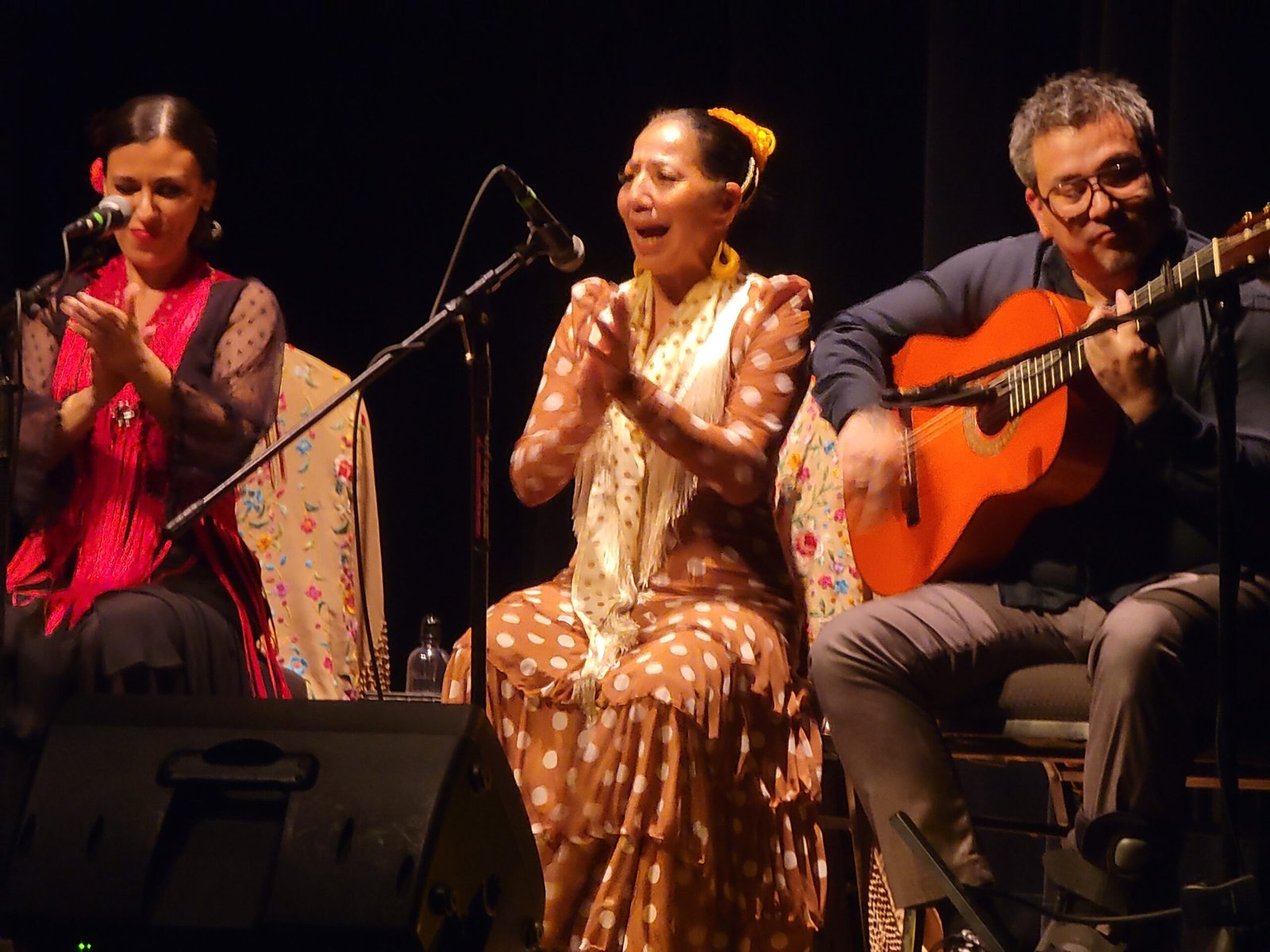 FlamencOlé flamenco performance photograph